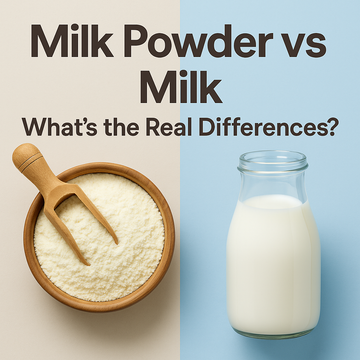 Milk Powder vs Milk: What’s the Real Difference?